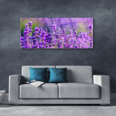 Paveikslas ant stiklo Violetinis levandų laukas