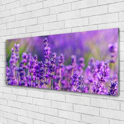 Paveikslas ant stiklo Violetinis levandų laukas