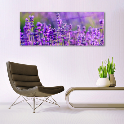 Paveikslas ant stiklo Violetinis levandų laukas