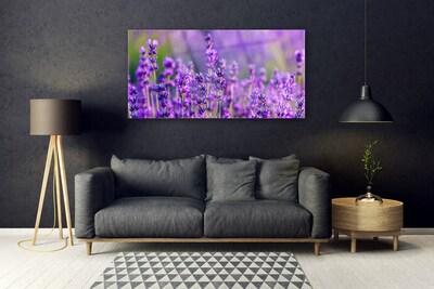 Paveikslas ant stiklo Violetinis levandų laukas