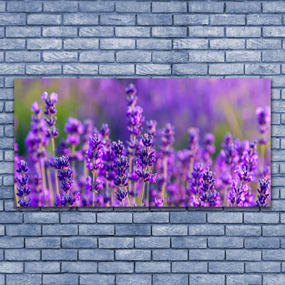 Paveikslas ant stiklo Violetinis levandų laukas