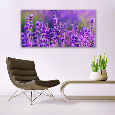 Paveikslas ant stiklo Violetinis levandų laukas
