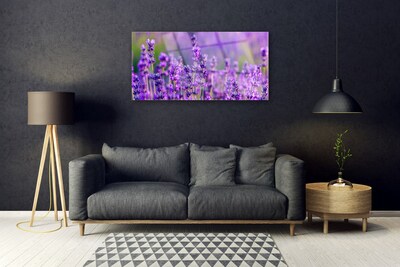 Paveikslas ant stiklo Violetinis levandų laukas