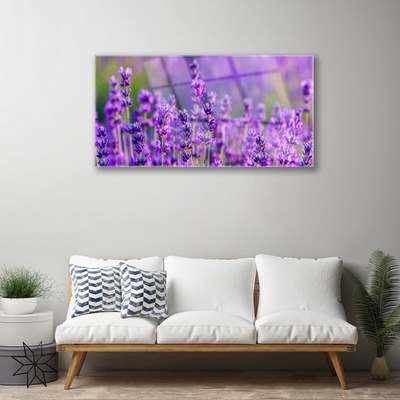 Paveikslas ant stiklo Violetinis levandų laukas