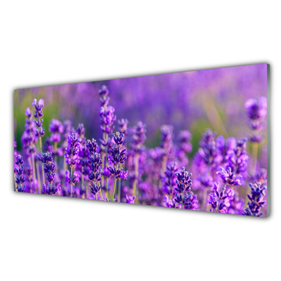 Paveikslas ant stiklo Violetinis levandų laukas