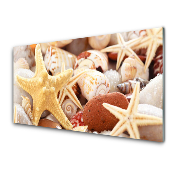 Paveikslas ant stiklo Starfish Shells paplūdimys