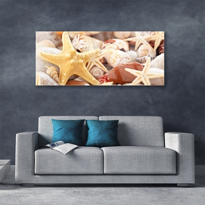 Paveikslas ant stiklo Starfish Shells paplūdimys
