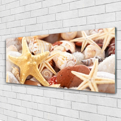 Paveikslas ant stiklo Starfish Shells paplūdimys