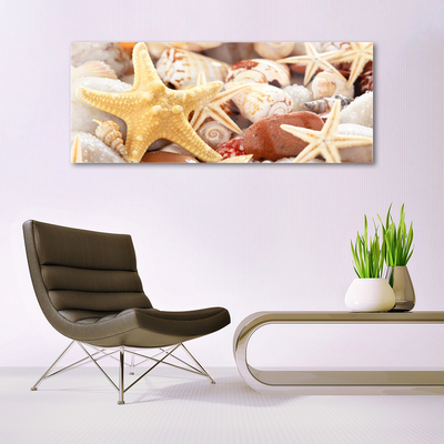 Paveikslas ant stiklo Starfish Shells paplūdimys
