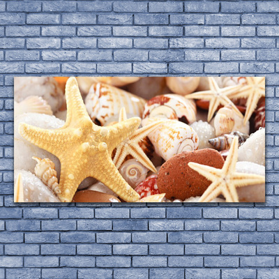 Paveikslas ant stiklo Starfish Shells paplūdimys