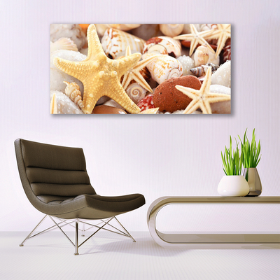 Paveikslas ant stiklo Starfish Shells paplūdimys