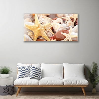 Paveikslas ant stiklo Starfish Shells paplūdimys