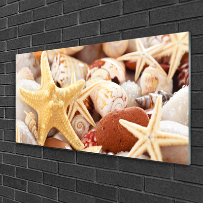 Paveikslas ant stiklo Starfish Shells paplūdimys