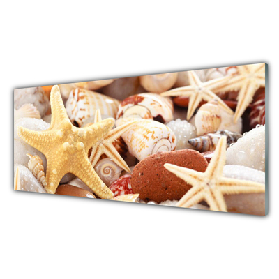 Paveikslas ant stiklo Starfish Shells paplūdimys