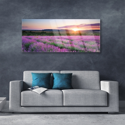 Stiklo paveikslas Lavender Fields Meadow West