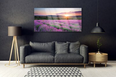 Stiklo paveikslas Lavender Fields Meadow West