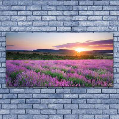 Stiklo paveikslas Lavender Fields Meadow West