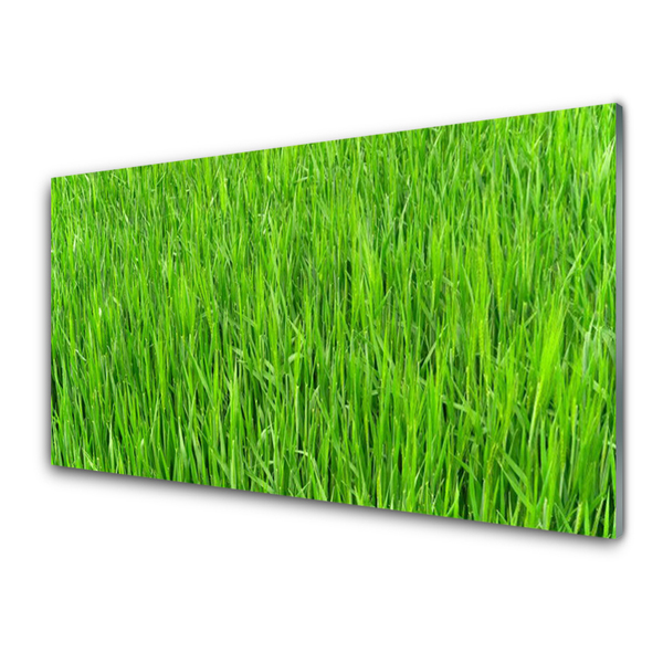 Paveikslas ant stiklo Green Grass Nature Turf