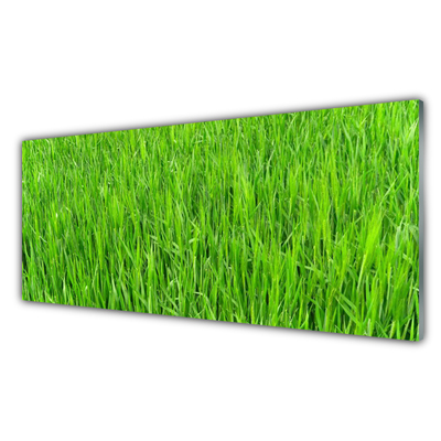 Paveikslas ant stiklo Green Grass Nature Turf