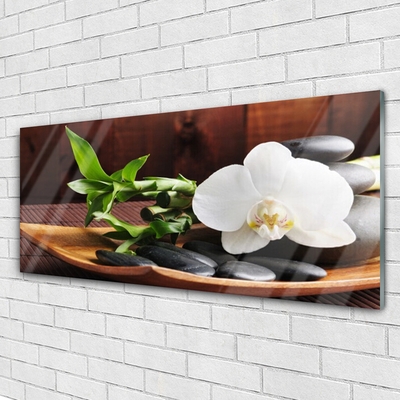 Paveikslas ant stiklo Zen bambuko balta orchidėja
