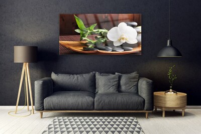 Paveikslas ant stiklo Zen bambuko balta orchidėja