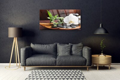 Paveikslas ant stiklo Zen bambuko balta orchidėja