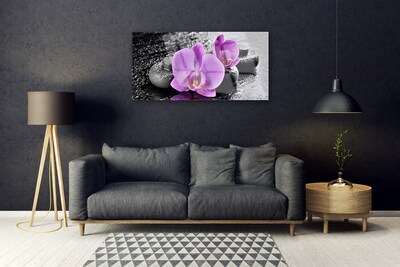 Paveikslas ant stiklo Orchidėjų gėlių Orchidėjų SPA