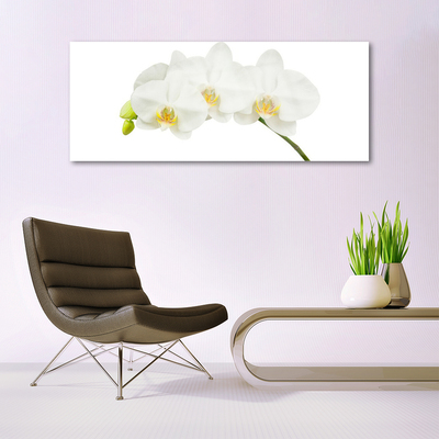 Paveikslas ant stiklo Orchidėja ūgliai Gėlės Gamta