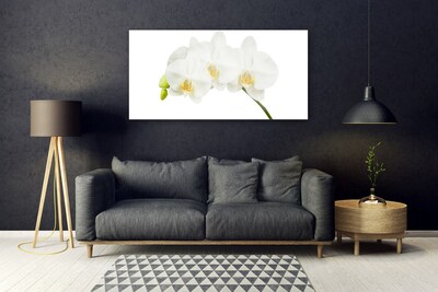 Paveikslas ant stiklo Orchidėja ūgliai Gėlės Gamta