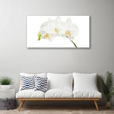 Paveikslas ant stiklo Orchidėja ūgliai Gėlės Gamta
