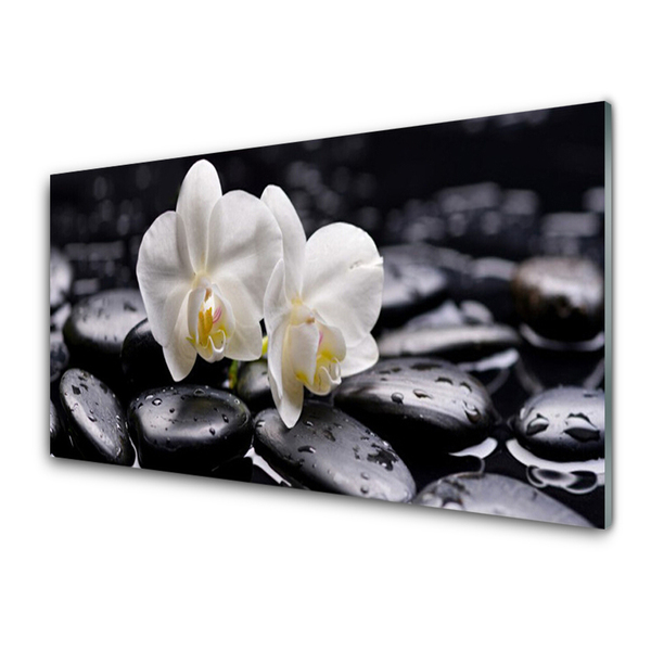 Stiklo paveikslas Zen White Orchid SPA