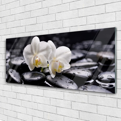 Stiklo paveikslas Zen White Orchid SPA