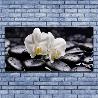 Stiklo paveikslas Zen White Orchid SPA