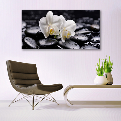 Stiklo paveikslas Zen White Orchid SPA