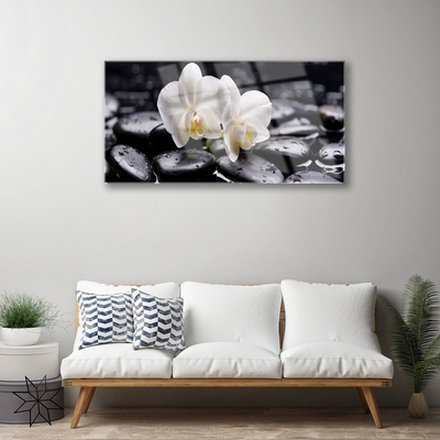 Stiklo paveikslas Zen White Orchid SPA