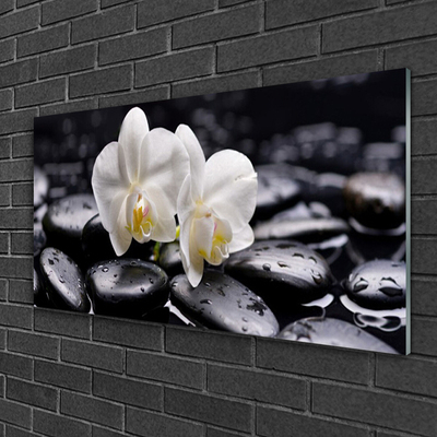 Stiklo paveikslas Zen White Orchid SPA