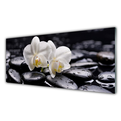 Stiklo paveikslas Zen White Orchid SPA