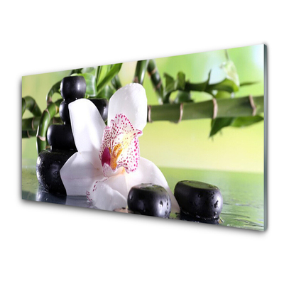 Stiklo paveikslas Bambuko orchidėjų akmenys