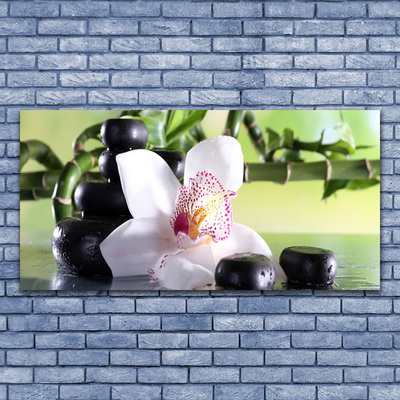 Stiklo paveikslas Bambuko orchidėjų akmenys