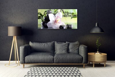 Stiklo paveikslas Bambuko orchidėjų akmenys