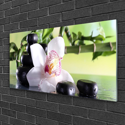 Stiklo paveikslas Bambuko orchidėjų akmenys