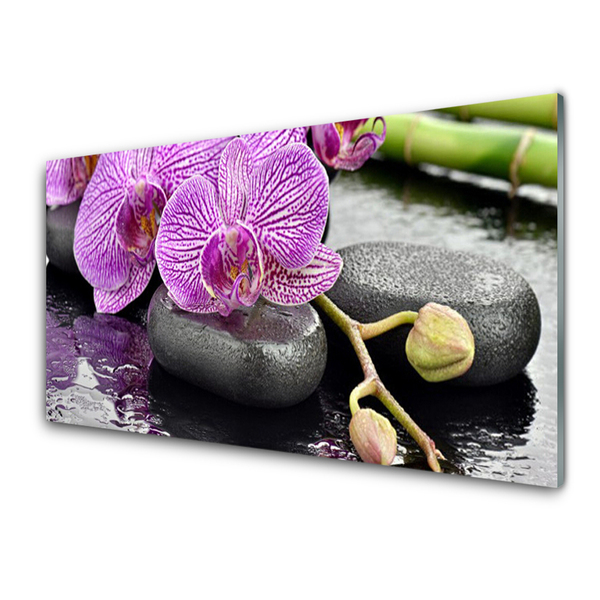 Stiklo paveikslas Orchid Zen Orchid SPA