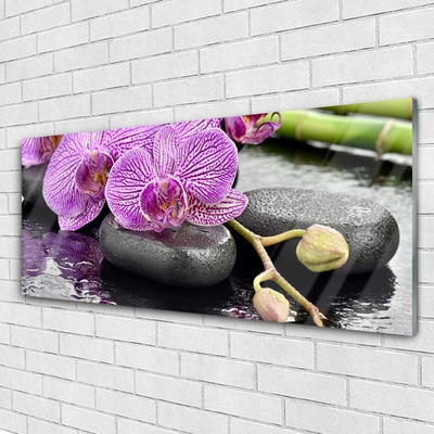 Stiklo paveikslas Orchid Zen Orchid SPA