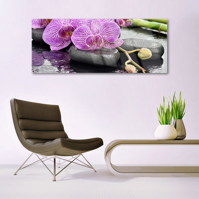 Stiklo paveikslas Orchid Zen Orchid SPA