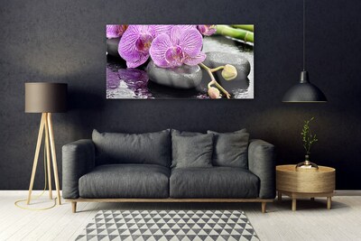 Stiklo paveikslas Orchid Zen Orchid SPA