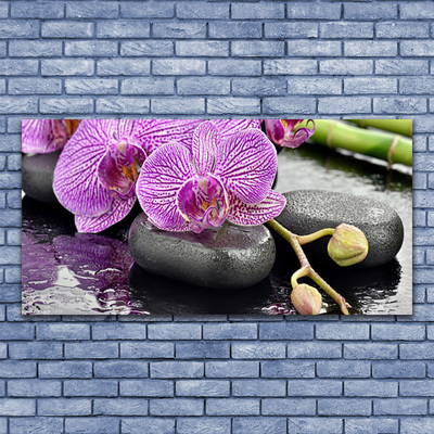 Stiklo paveikslas Orchid Zen Orchid SPA