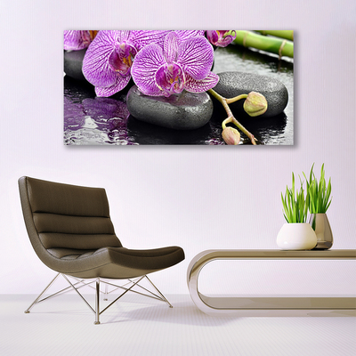 Stiklo paveikslas Orchid Zen Orchid SPA