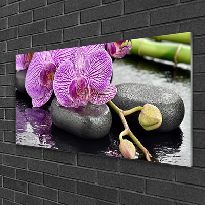 Stiklo paveikslas Orchid Zen Orchid SPA