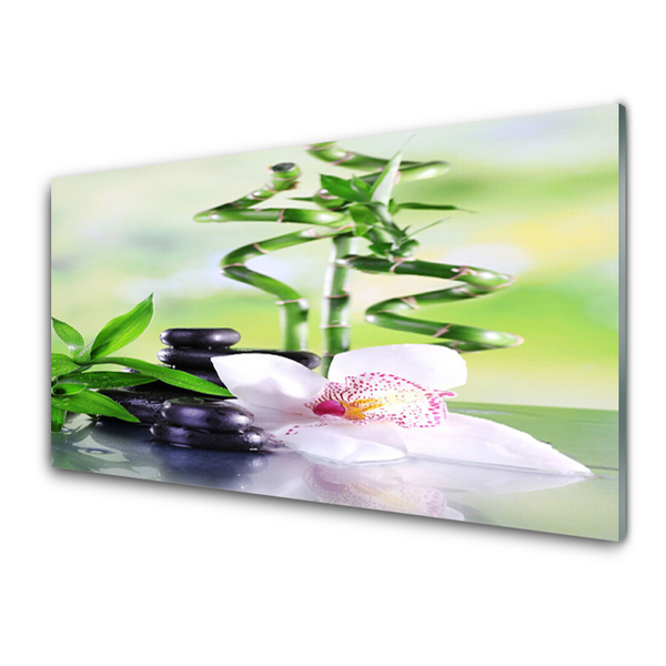Stiklo paveikslas Orchid Bamboo Zen Spa