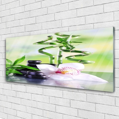 Stiklo paveikslas Orchid Bamboo Zen Spa